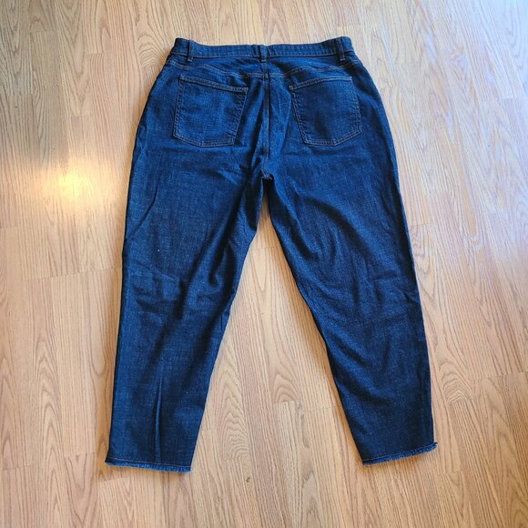 NEW NWT! EILEEN FISHER STRETCH ORGANIC COTTON DENIM JEAN HIGH RISE ANKLE sz 16W - Picture 4 of 7